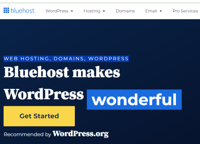 WEB HOSTING, DOMAINS, WORDPRESS